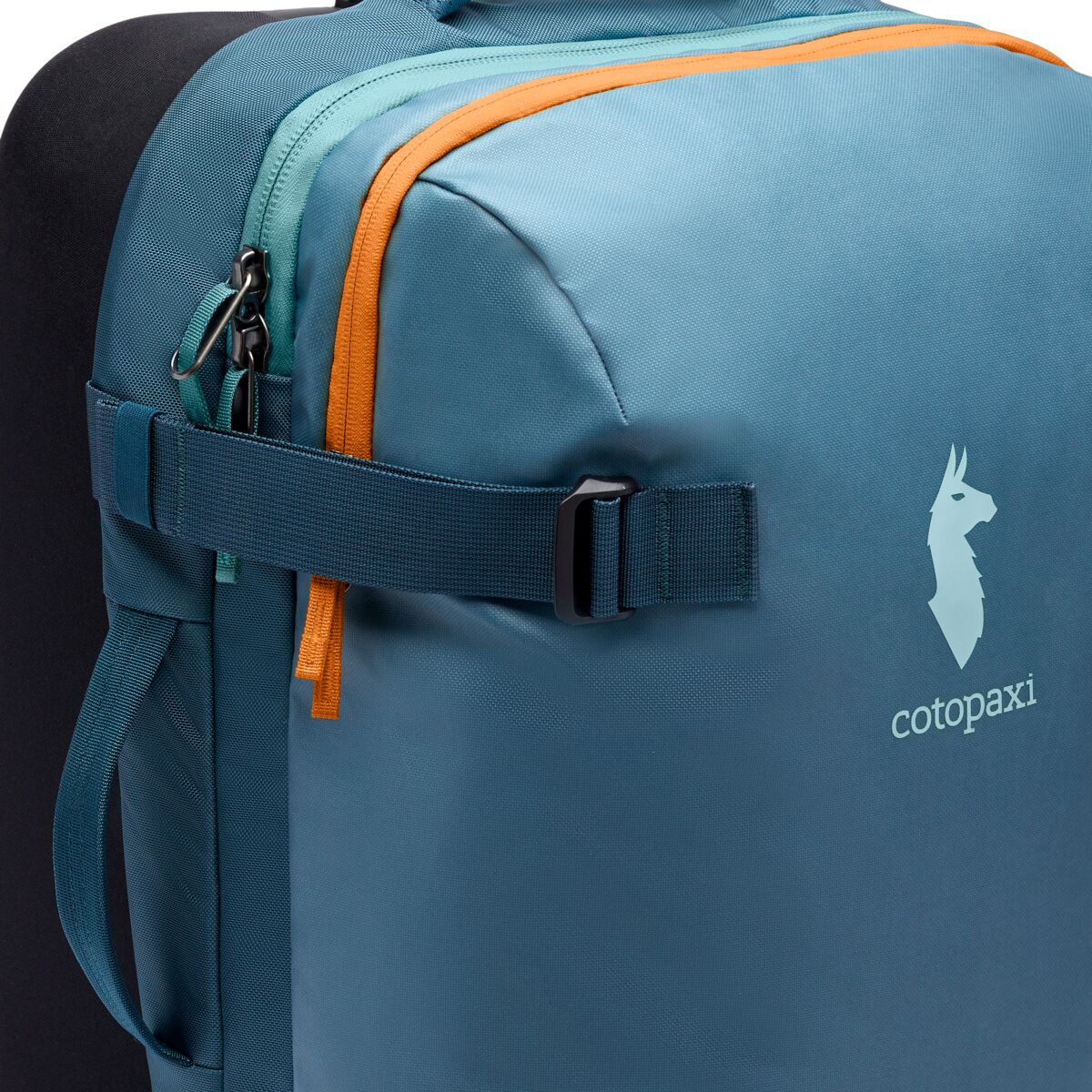 Cotopaxi Allpa 38L Roller Bag - Blue Spruce - Image 3